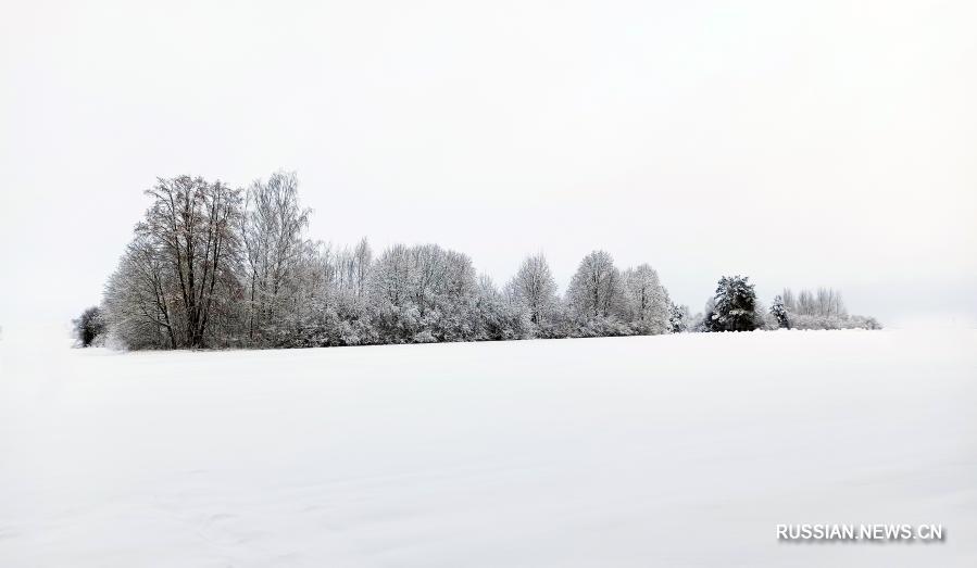 На Беларусь обрушился снежный циклон "Ларс"