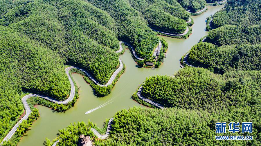 Коэффициент лесного покрова в провинции Гуйчжоу составляет 60%