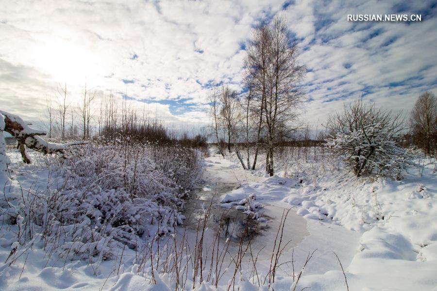 Зима в белорусской деревне