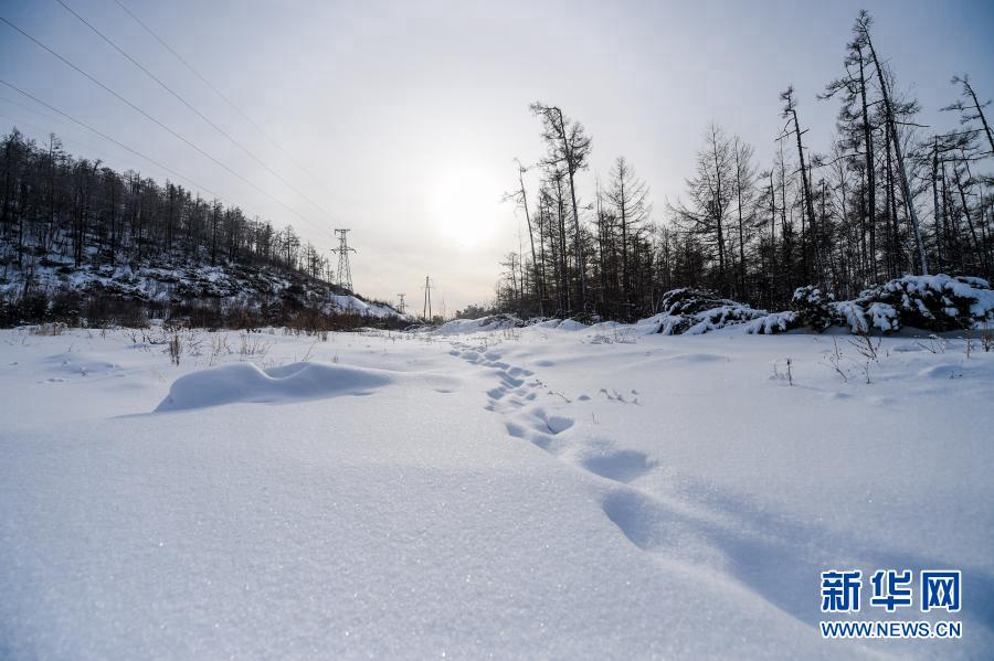 Сказочные пейзажи Большого Хингана после снегопада