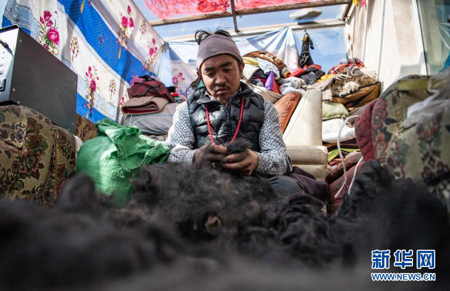 Жизнь пастухов на высокогорье Цзанбэй