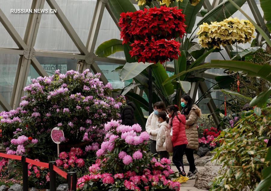 Праздничная выставка цветов в Шанхае
