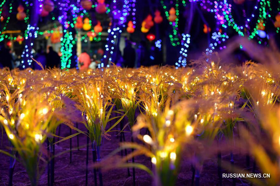 Новогодние композиции из цветных фонарей в деревне Цзяцзячжуан