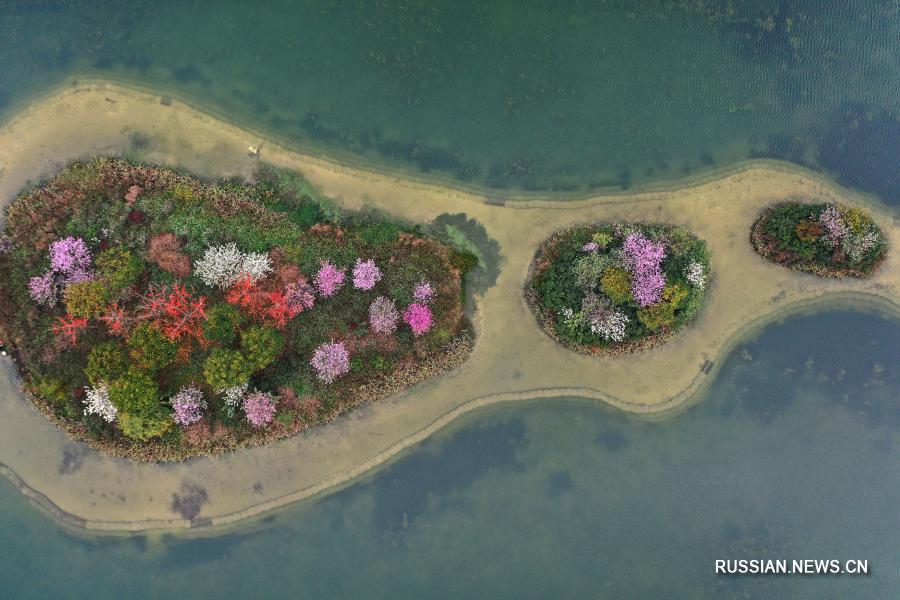 Островки весеннего цветения на озере в Наньнине