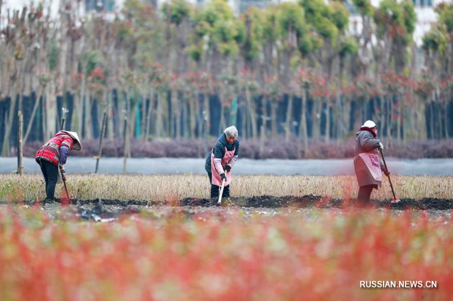 В Китае с "пробуждением насекомых" наступил сезон пахотно-посевных работ