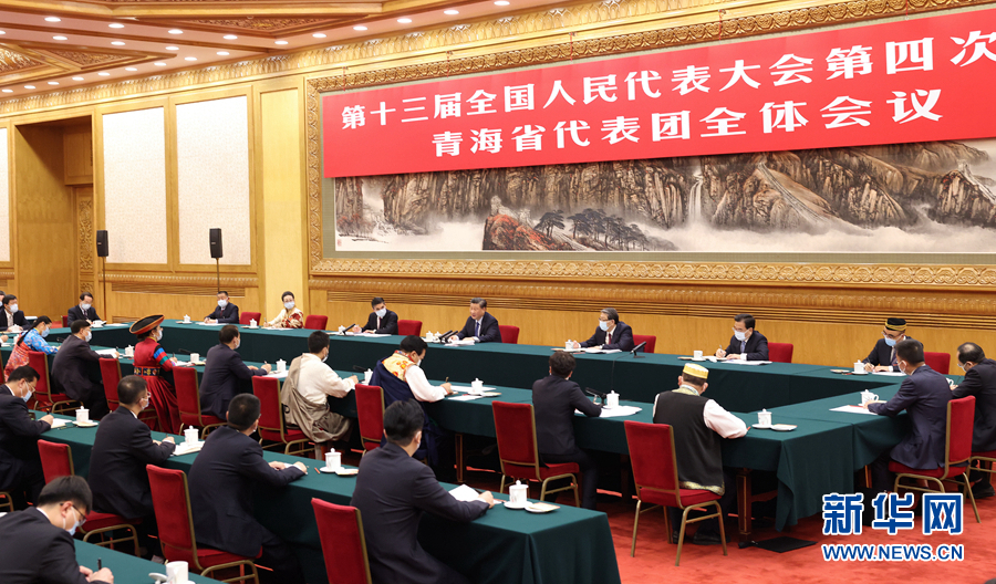 Си Цзиньпин принял участие в обсуждении с депутатами от провинции Цинхай в рамках 4-й сессии ВСНП 13-го созыва