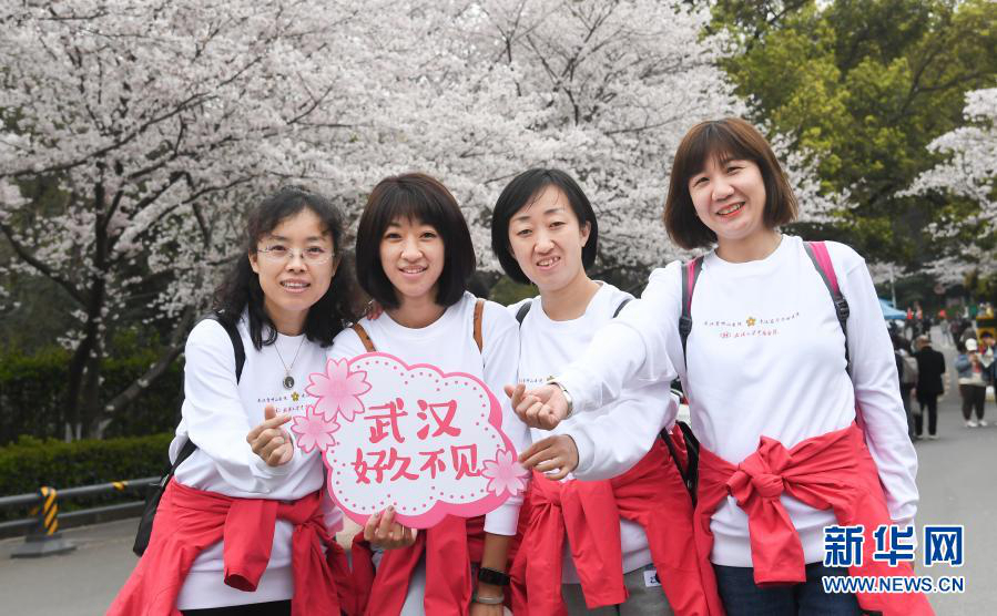 Город Ухань пригласил боровшихся с COVID-19 медработников полюбоваться цветами сакуры