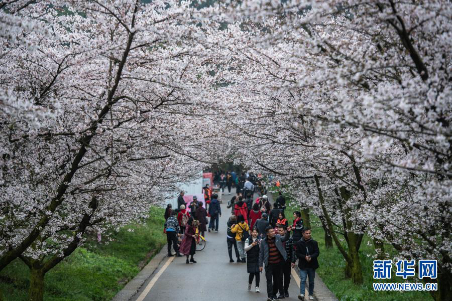 Провинция Гуйчжоу: весна в разгаре