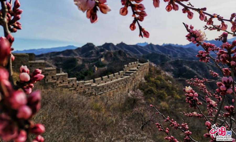 Весенние пейзажи на участке Великой китайской стены Цзиньшаньлин