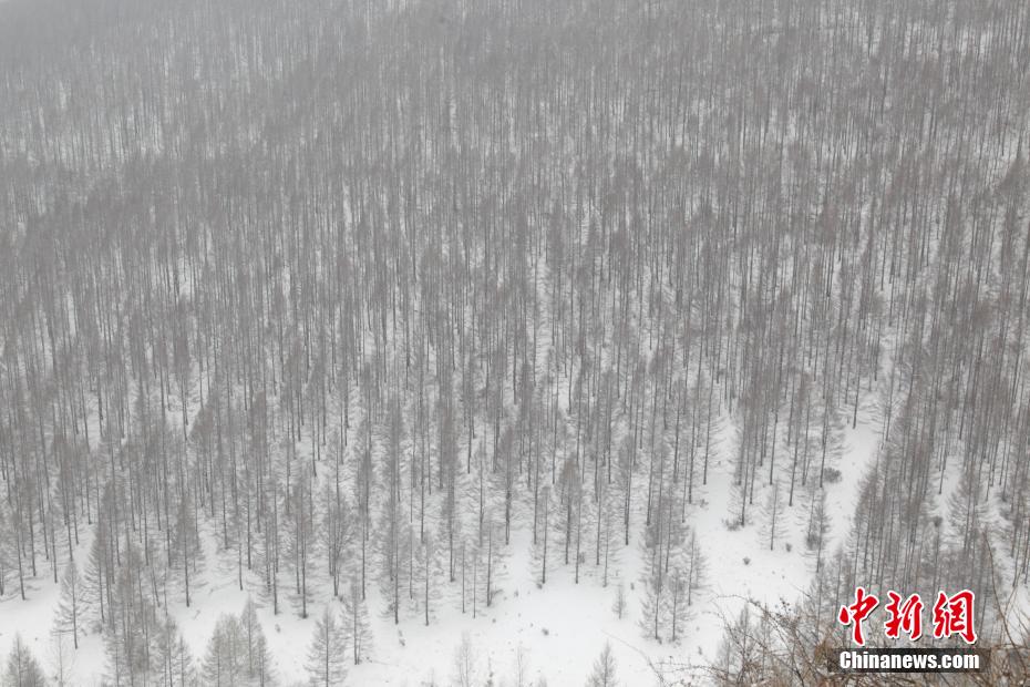 Красные стены и серая черепица играют всеми красками на белом снегу – живописная гора Утайшань