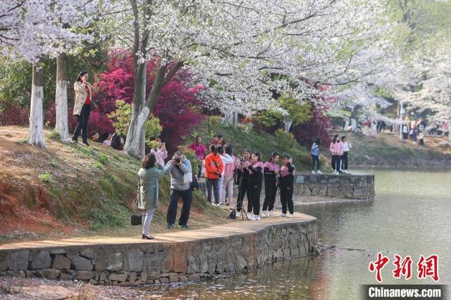 Наньчан в Цзянси: весенние цветы привлекают к себе туристов