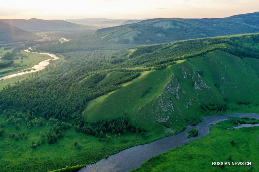 Прекрасный летний пейзаж в лесном парке Аршань