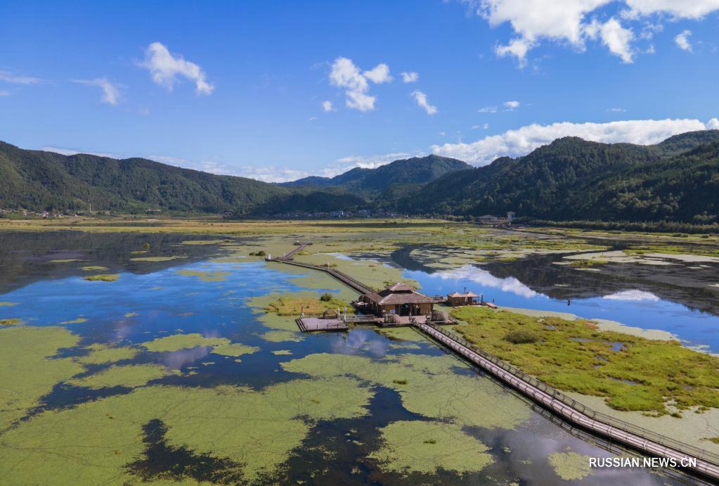 Заповедник водно-болотных угодий в Тэнчуне с высоты птичьего полета
