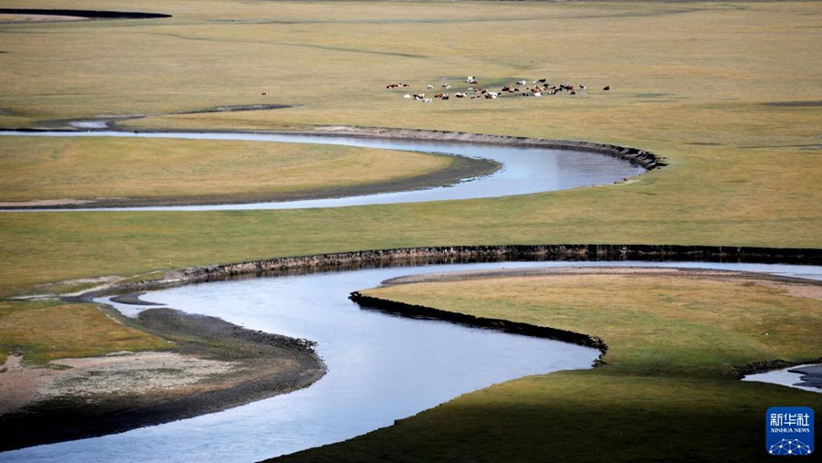 Живописные осенние пейзажи на степи Хулуньбуир во Внутренней Монголии