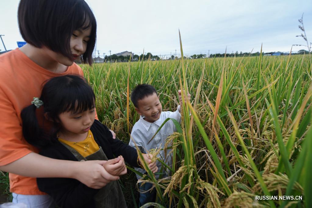 Тематическое мероприятие в китайском детском саду в преддверии Всемирного дня продовольствия 