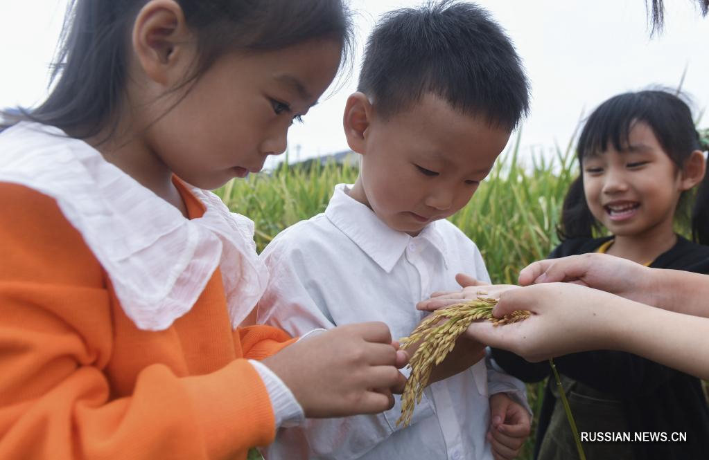 Тематическое мероприятие в китайском детском саду в преддверии Всемирного дня продовольствия 