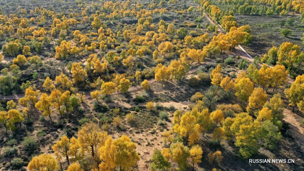 Краски осени в природном заповеднике Хабаху 