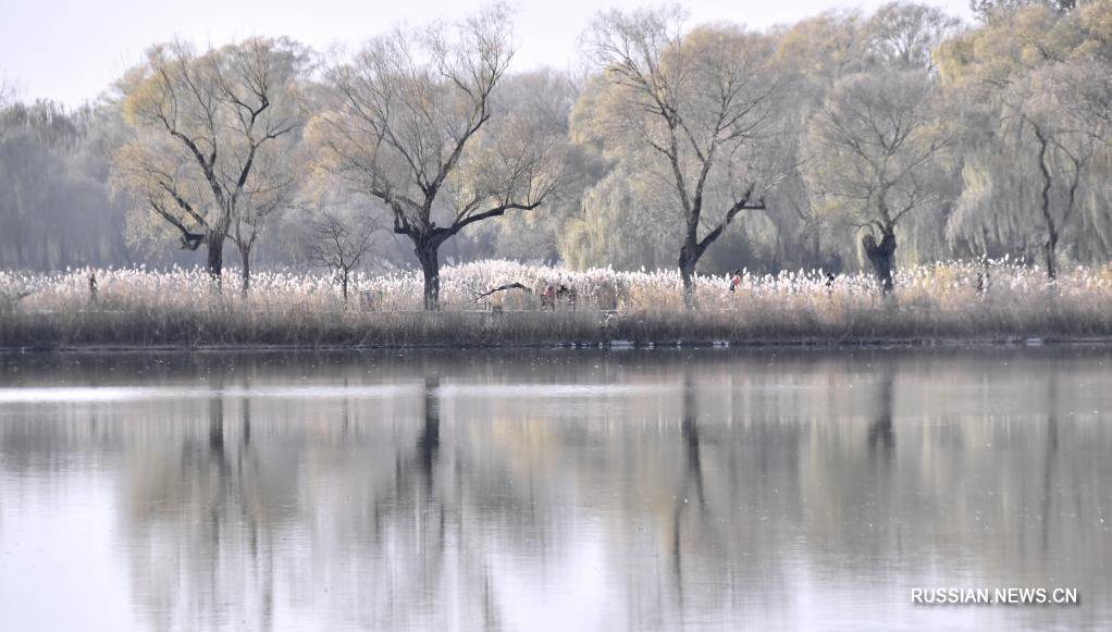 Облик парка Ихэюань приобретает строгие зимние черты