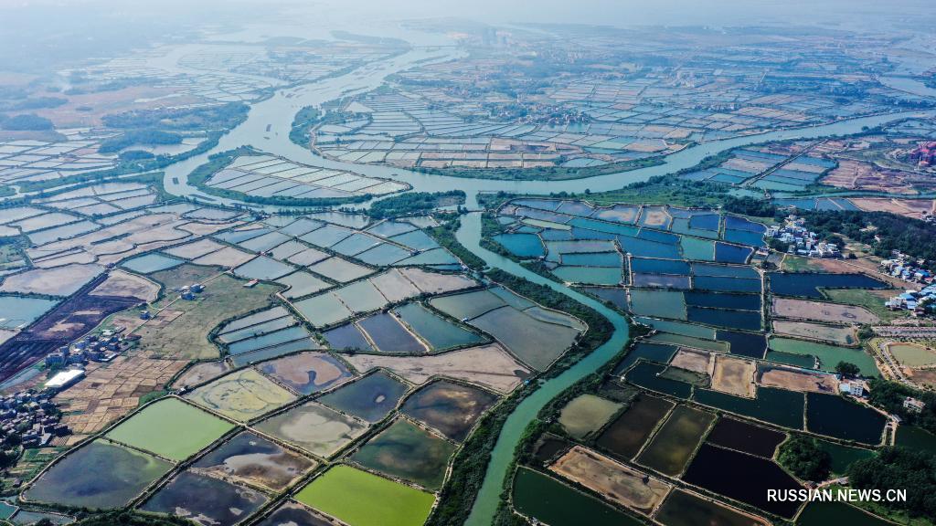 В городском округе Циньчжоу Гуанси-Чжуанского автономного района /Южный Китай/ в последние годы усиленными темпами реализуется программа по формированию сельской экологической среды.