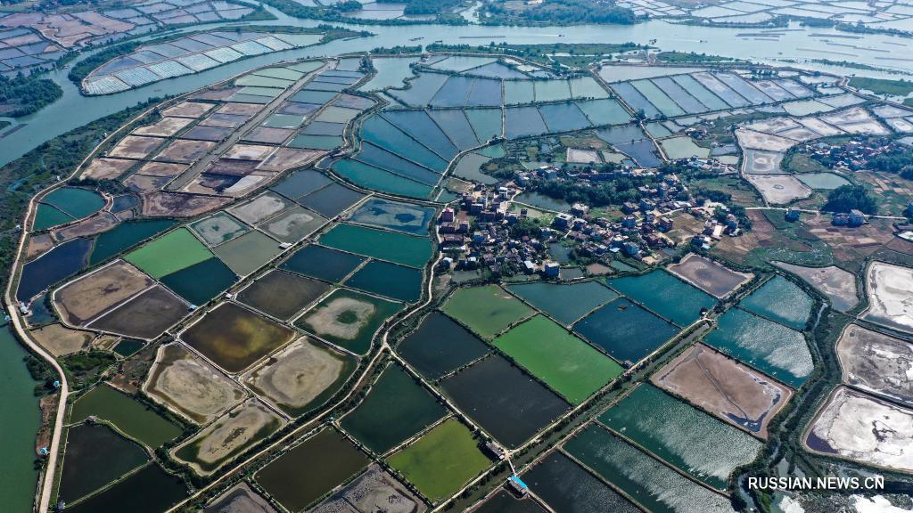 В городском округе Циньчжоу Гуанси-Чжуанского автономного района /Южный Китай/ в последние годы усиленными темпами реализуется программа по формированию сельской экологической среды.