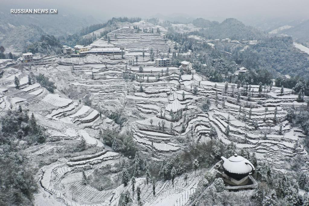 Чайный сад на западе провиции Хубэй покрыт снегом