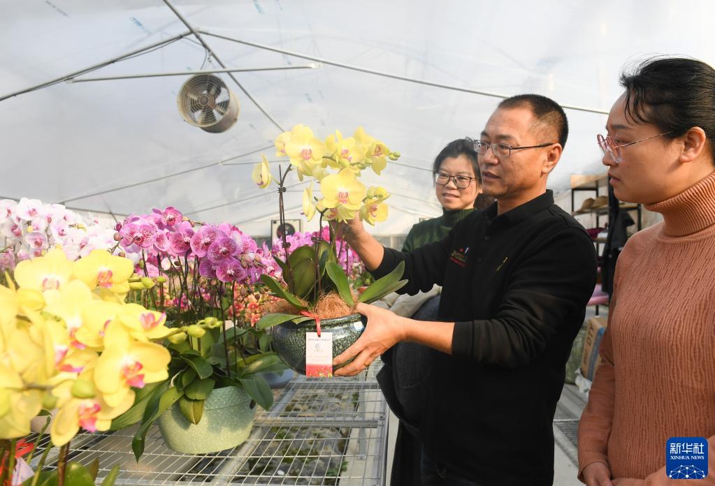 В сельских теплицах расцвели цветы для продажи к празднику Весны