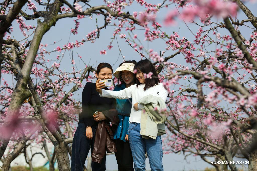 Весеннее цветение в Китае