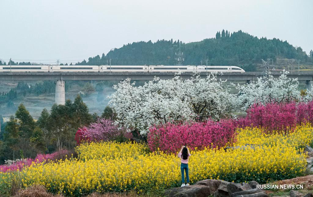 Весеннее цветение в Китае