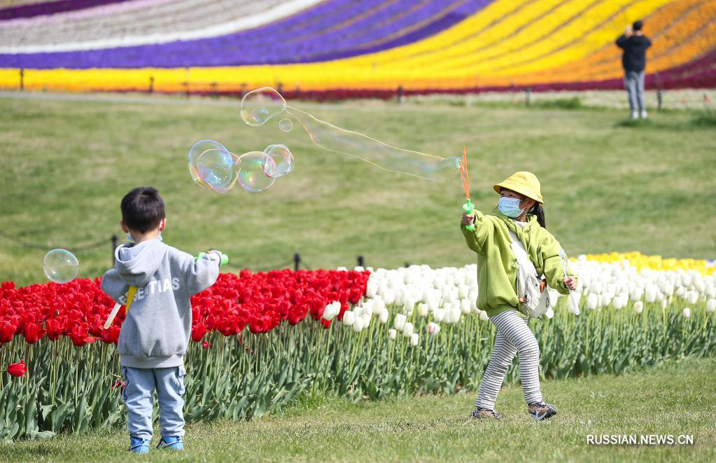 Жители Китая празднуют Цинмин на свежем воздухе