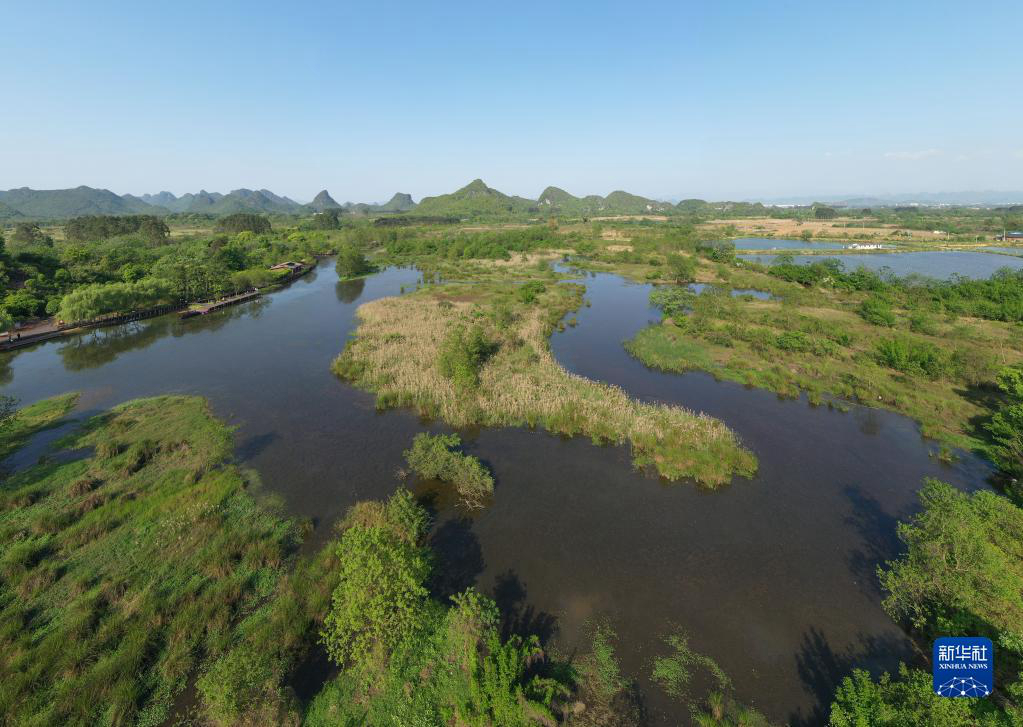 Весенние пейзажи водно-болотных угодий на юго-западе Китая