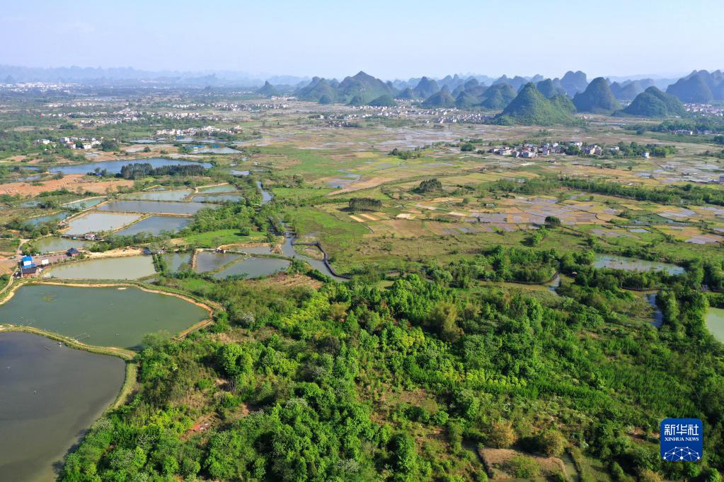 Весенние пейзажи водно-болотных угодий на юго-западе Китая