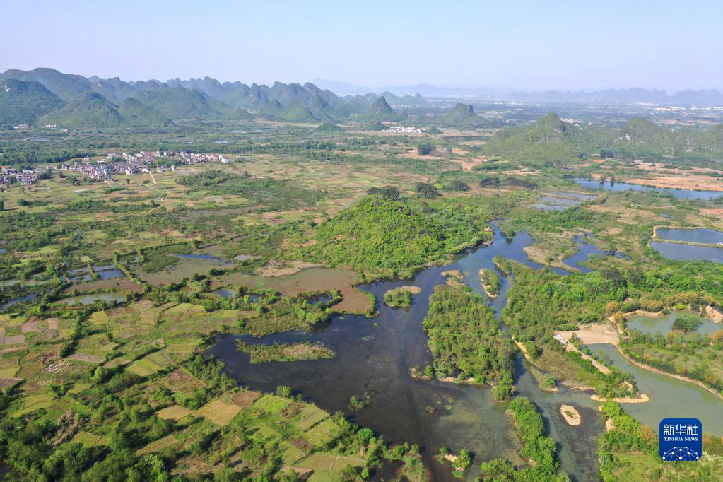 Весенние пейзажи водно-болотных угодий на юго-западе Китая