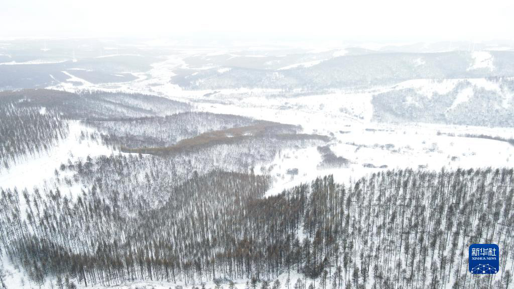 Государственный лесопарк Сайханьба после весеннего снегопада