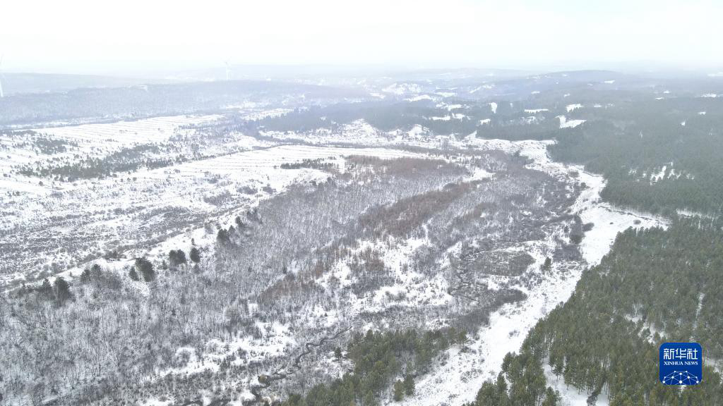 Государственный лесопарк Сайханьба после весеннего снегопада
