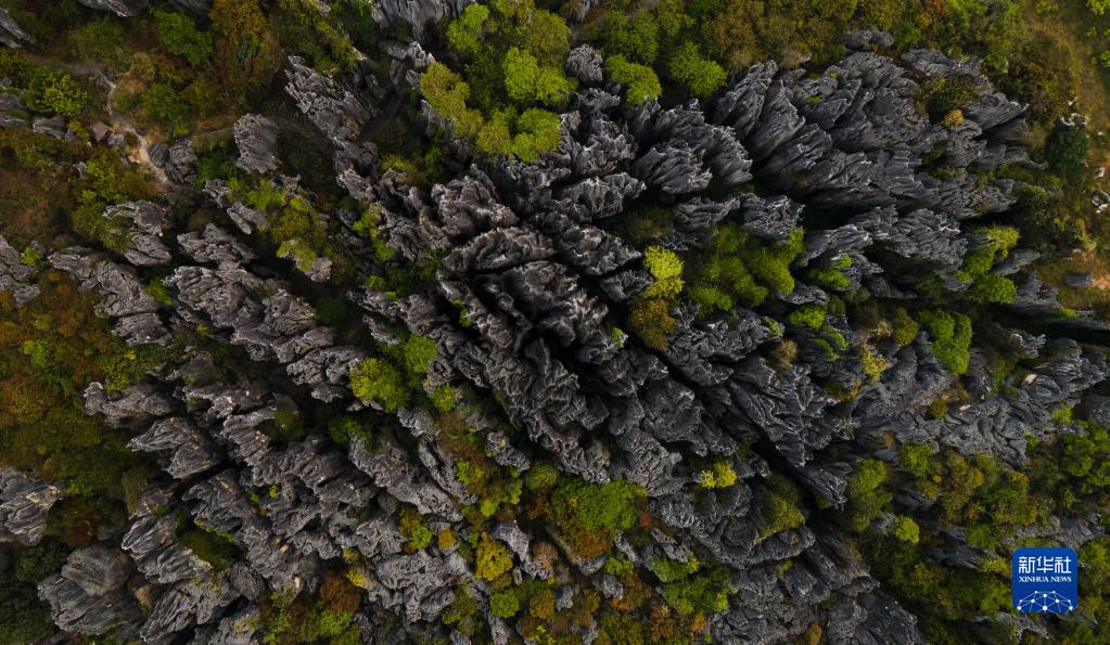   Каменный лес в провинции Юньнань с высоты птичьего полета