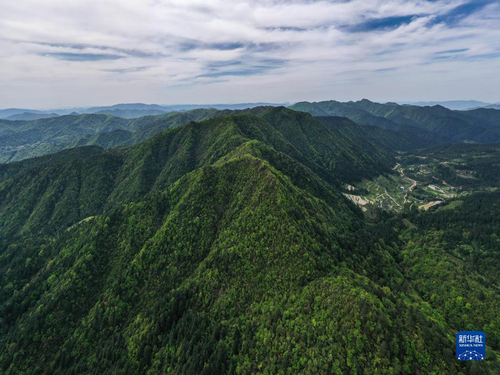 Гора Фаньцзиншань с высоты птичьего полета