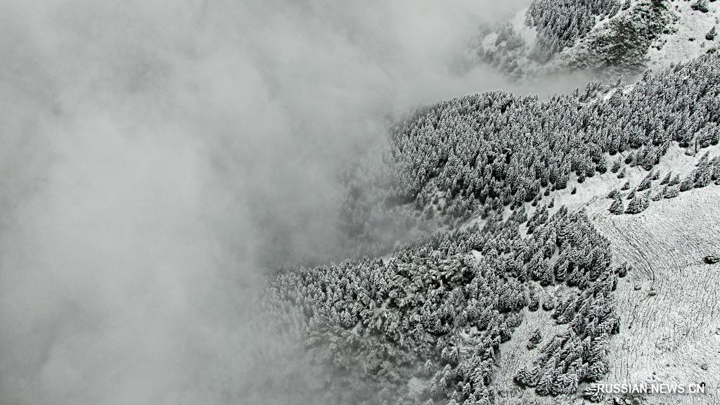 Снегопад в начале лета в уезде Таньчан на северо-западе Китая