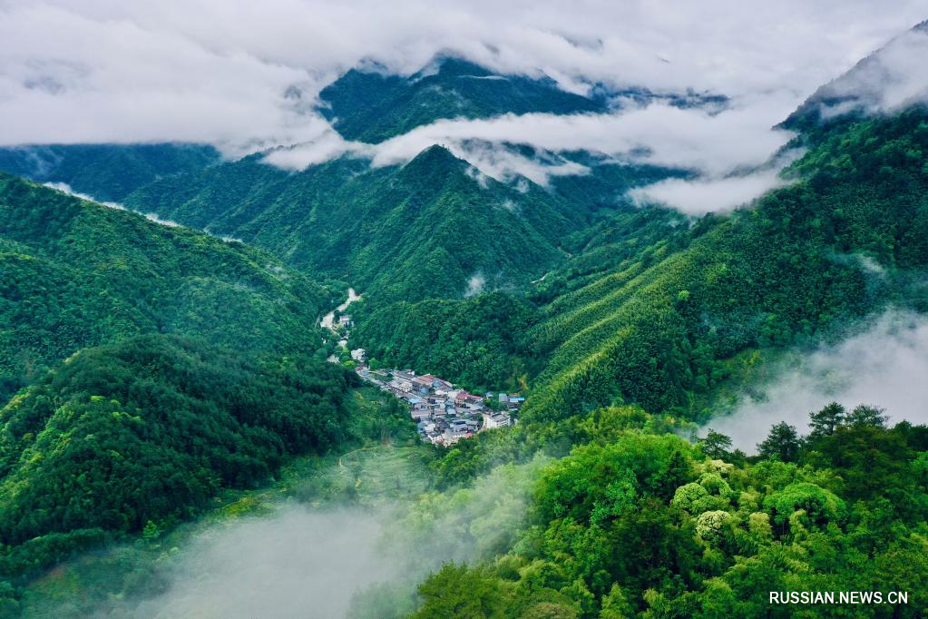 Горы Уишань в провинции Фуцзянь