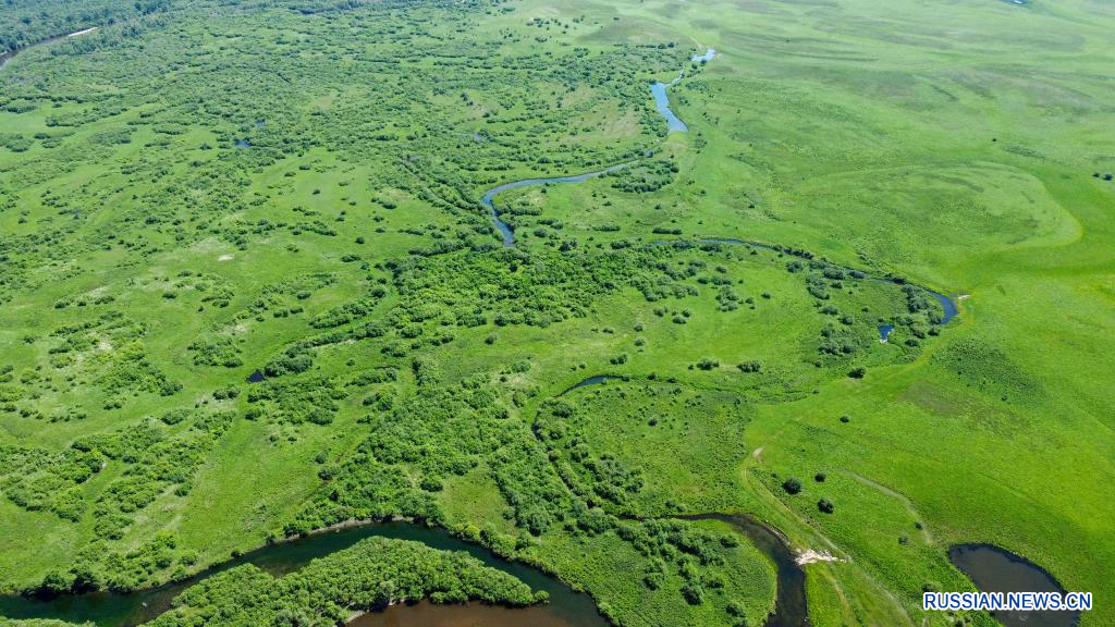 Живописные летние пейзажи в водно-болотных угодьях на севере Китая