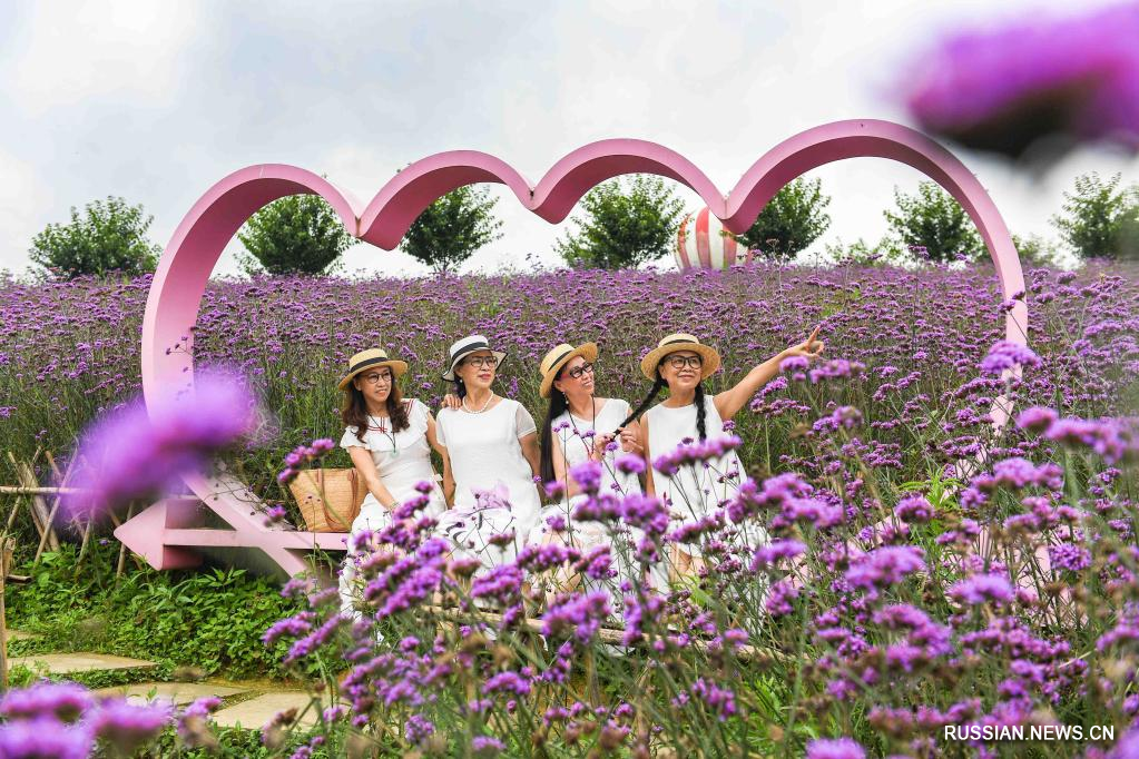 Море цветов в уезде Тунцзы пров. Гуйчжоу привлекает туристов