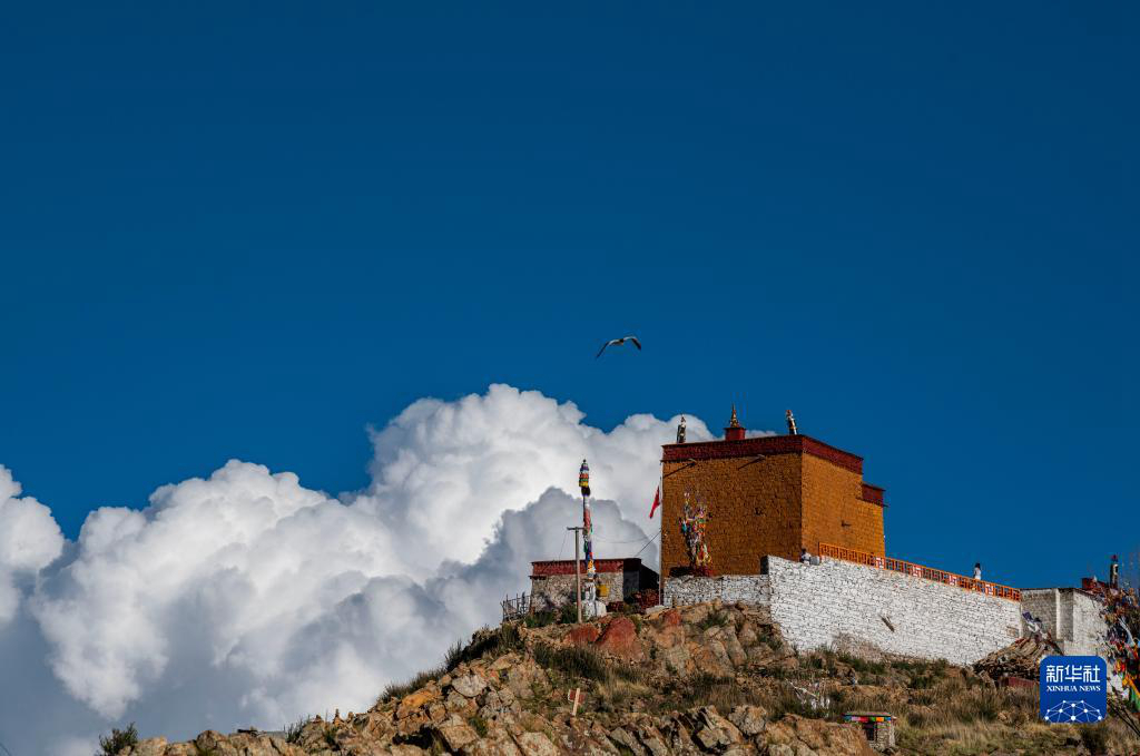 Летние пейзажи озера Янчжоюнцо в Тибете