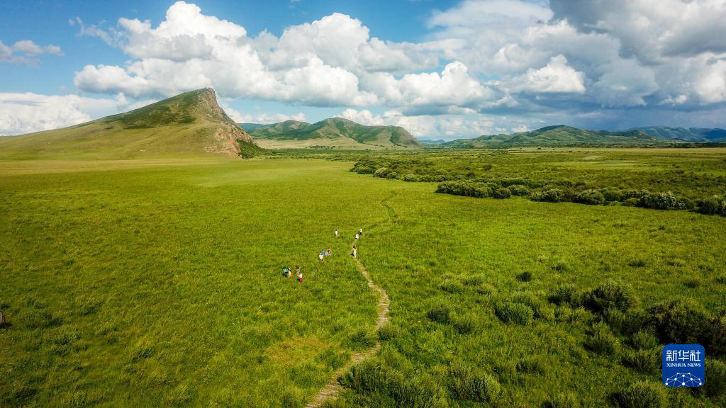Живописные летние степные пейзажи во Внутренней Монголии