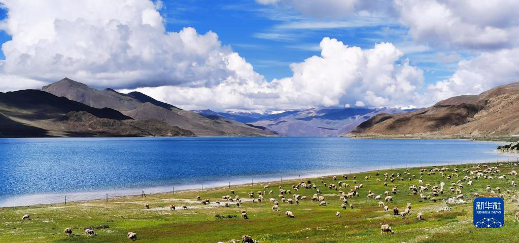 Чарующие летние пейзажи озера Янчжоюнцо в Тибете