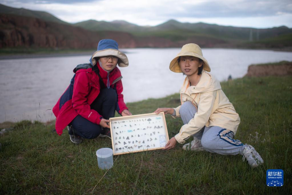 Цзянъюаньская научная экспедиция: «ловцы насекомых» исследуют биоразнообразие нагорья