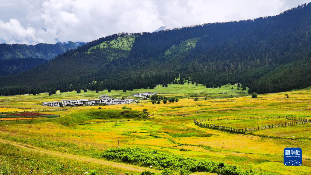 Летние пейзажи поселка Лулан в Тибете