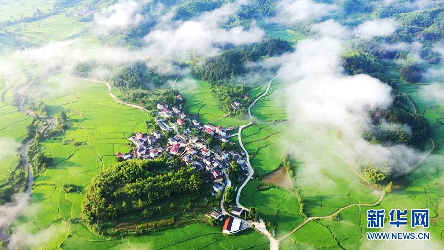Вид с высоты птичьего полета на красивую сельскую местность на востоке Китая
