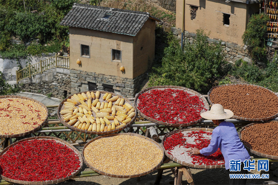 Фермеры сушат собранный урожай на востоке Китая Фермеры сушат собранный урожай на востоке Китая