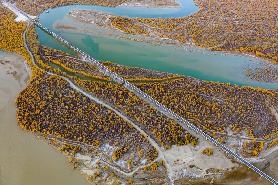 22 октября 2020 года, осенние леса евфратских тополей вдоль реки Тарим в Синьцзян-Уйгурском автономном районе на северо-западе Китая. /Фото: Синьхуа/