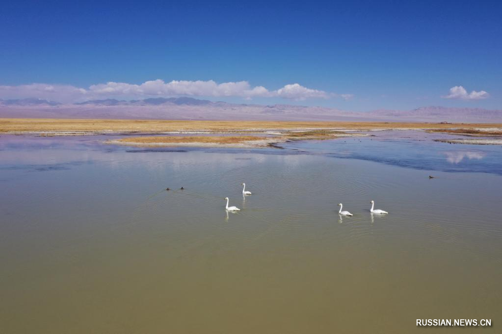 Красоты водно-болотных угодий в Аксай-Казахском автономном уезде
