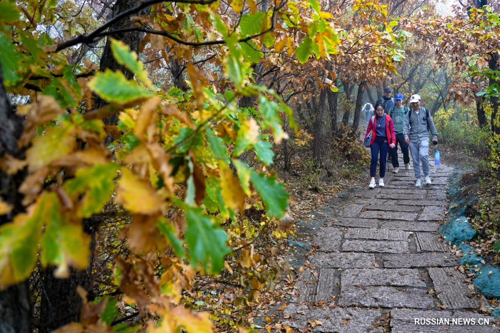 Пекин: осенние пейзажи в горах Байхуашань